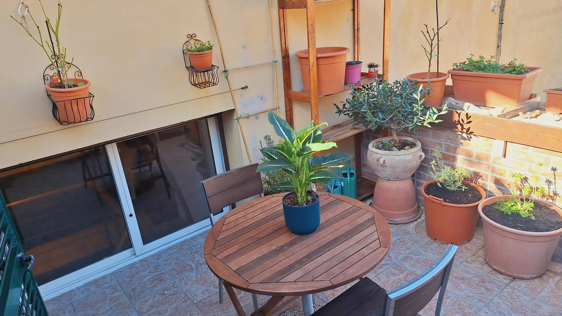 La Casina Lungomare Di Fabi Livorno Apartment 0*,