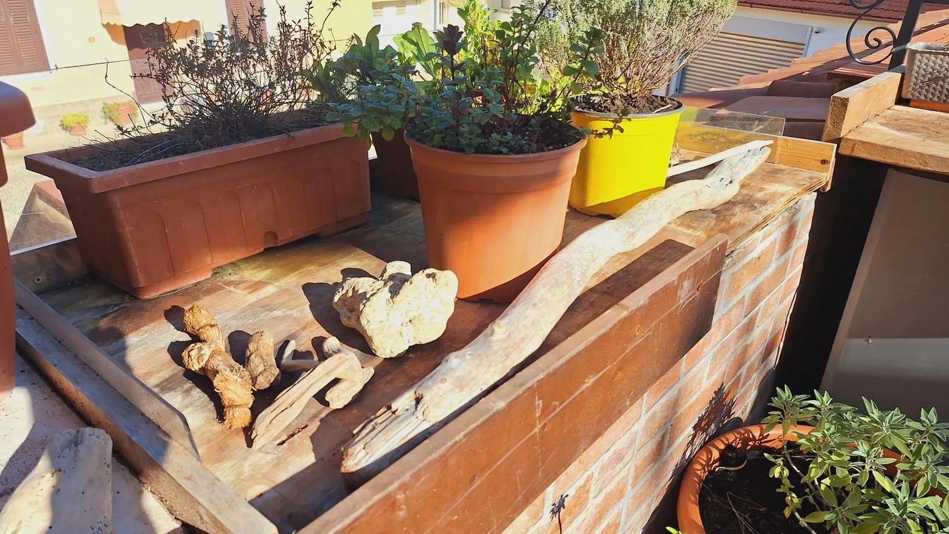 La Casina Lungomare Di Fabi Livorno Apartment Italy