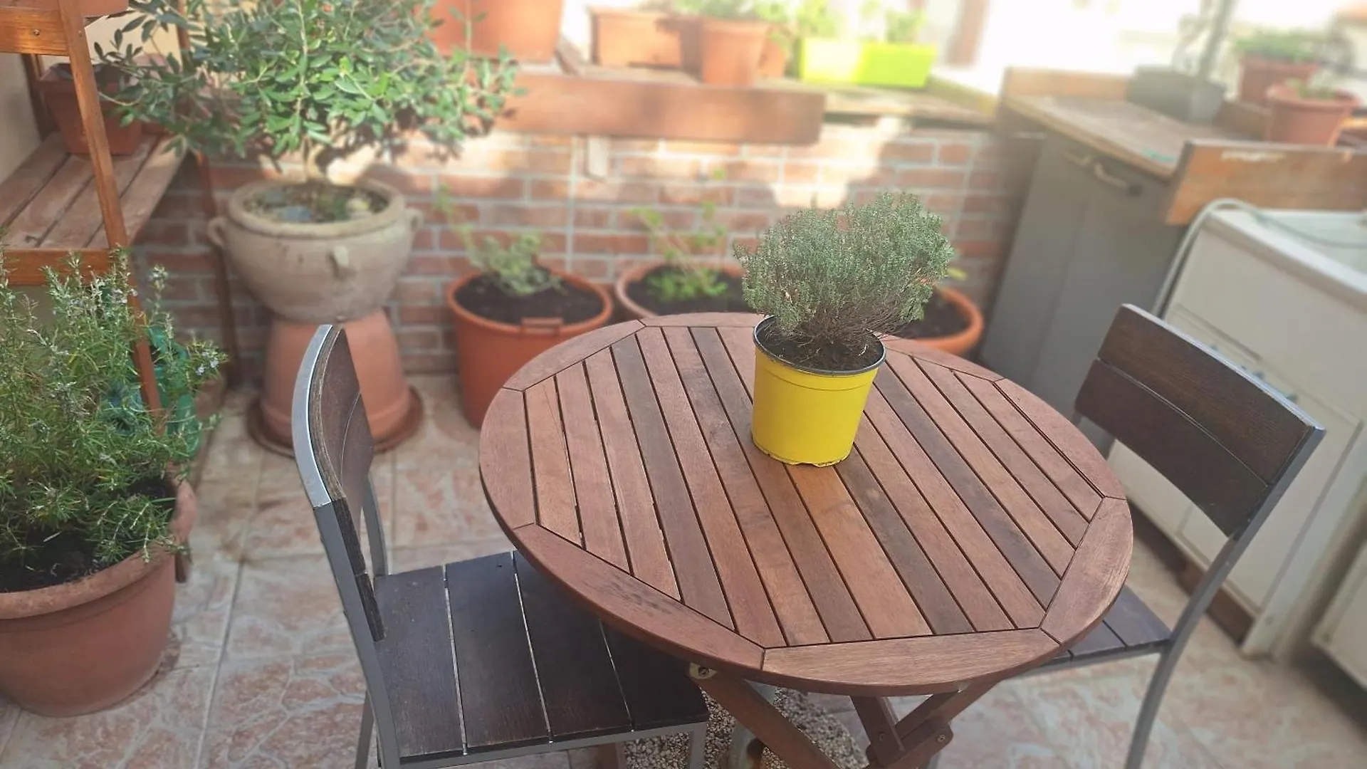 La Casina Lungomare Di Fabi Livorno Apartment
